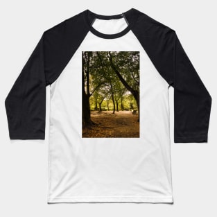 Autumn Walk Golitha falls Baseball T-Shirt